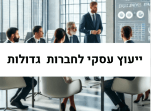 ייעוץ עסקי לחברות גדולות